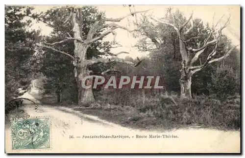 Cartes postales Foret de Fontainebleau Barbizon Route Marie Therese Arbres