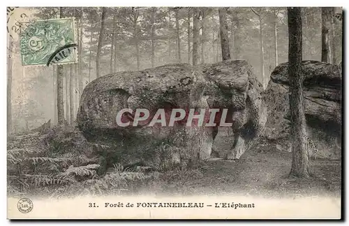 Ansichtskarte AK Foret de Fontainebleau L Elephant Elephant