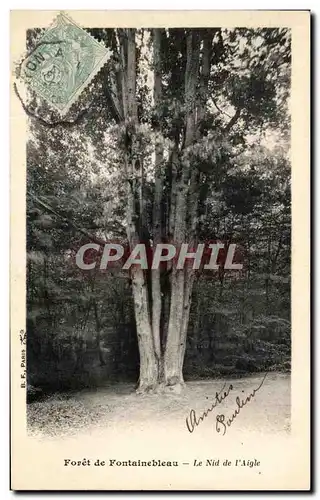 Cartes postales Foret de Fontainebleau Le Nid de L Aigle