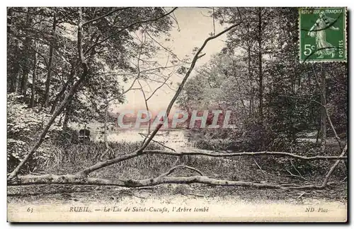 Cartes postales Rueil Le Lac de Sainte Cucufa L Arbre tombe