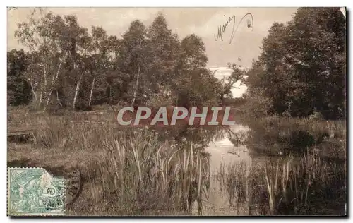 Ansichtskarte AK Fontainebleau La Foret La Mare aux Fees