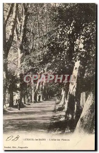 Ansichtskarte AK Luxeuil Les Bains L Allee des Platanes