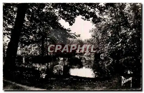 Cartes postales moderne Montfermeil Les Sept lles