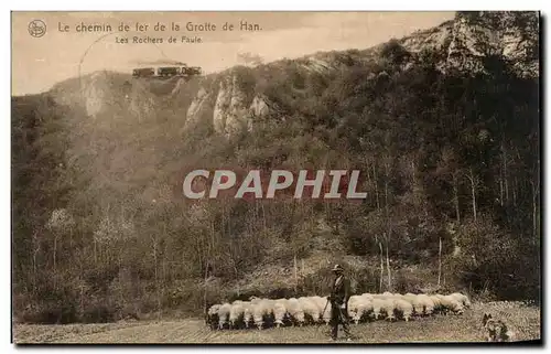Cartes postales Le Chemin de Fer de la Grotte de Han Moutons Train