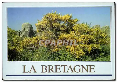 Cartes postales moderne La Bretagne