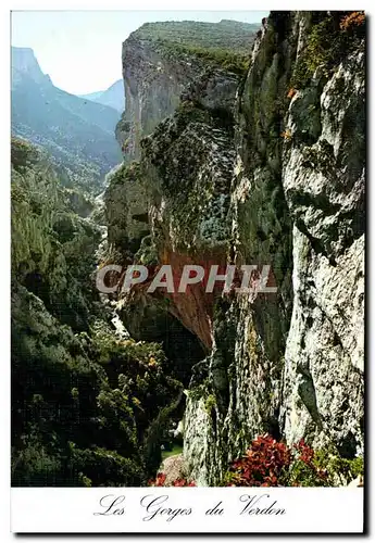 Cartes postales moderne Les Gorges Du Verdon