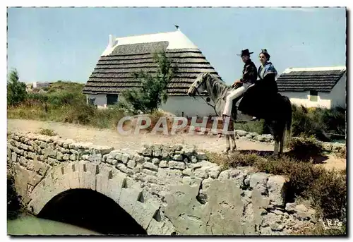 Cartes postales moderne Camargue Avec Les Gardians Folklore Cheval