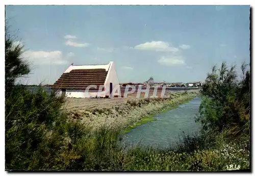 Moderne Karte Camargue Avec Les Gardians