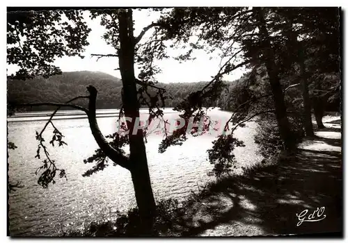 Cartes postales moderne L Auvergne Le Lac Pavin