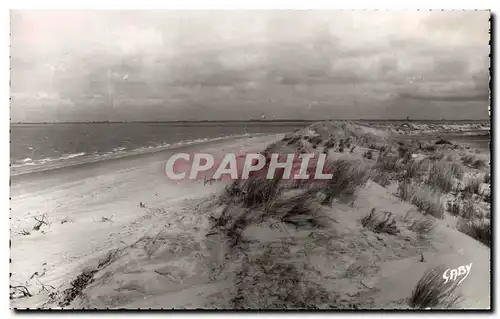 Cartes postales moderne Ronce Les Bains Le Galon d Or La Cote Sauvage