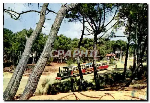 Moderne Karte Bassin D Arcachon Le Pett Train du Cap Ferret