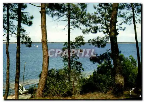 Cartes postales moderne Le Lac De Lacanau Vue Des Pins Couleurs Et Lumiere De France