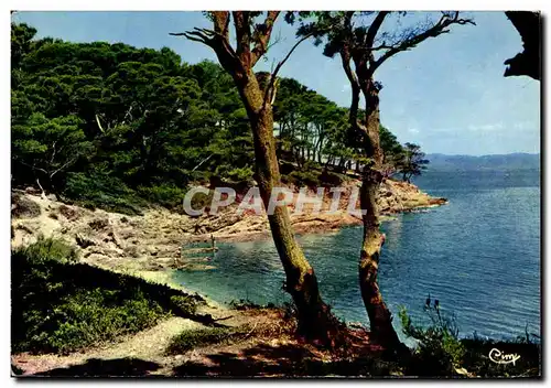 Cartes postales moderne Porquerolles La Perle des Iles d Or Une calanque sauvage