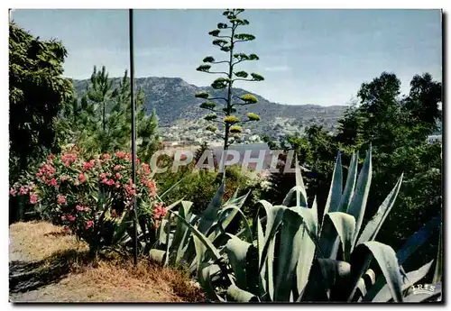 Cartes postales moderne environs du Lavandou Saint Clair Cote d Azur