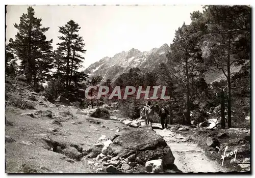 Cartes postales Environs de Cauterets Sentier du Lac de Caube