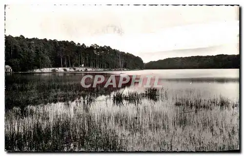 Cartes postales moderne Foret De Troncais Saint Bonnet L Etang