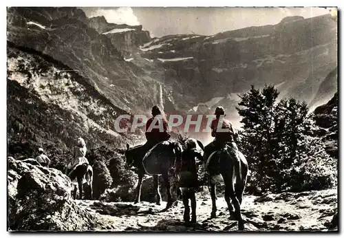 Cartes postales moderne Gavarnie Depart Pour le Cirque