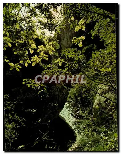 Cartes postales moderne Les Gorges Du Verdon Un Des sites les Plus Grandioses du Monde