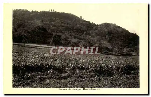 Cartes postales moderne La Tour de Langin