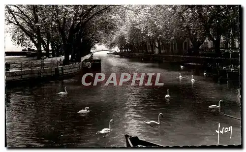 Moderne Karte Lac D Annecy Canal Du Vasse Cygnes