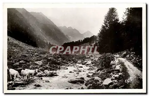 Cartes postales moderne Hautes Pyrnees Cauterets Dans le Val de Lutour Le Gave et le chemin muletier