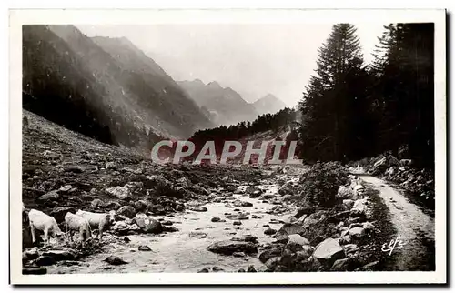 Moderne Karte Hautes Pyrnees Cauterets Dans le Val de Lutour Le Gave et le chemin muletier