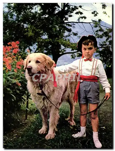 Cartes postales moderne Folklore Pyreneen L Entant au Chien