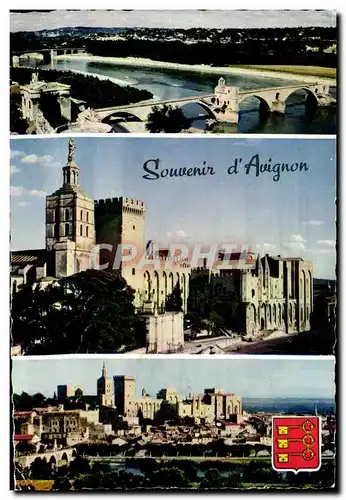 Cartes postales moderne Avignon Souvenir Le Pont Saint Benezet le palais des Papes et Notre Dam des Doms