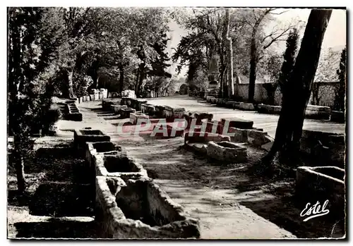 Cartes postales moderne Arles Les Alyscamps Allee des tombeaux