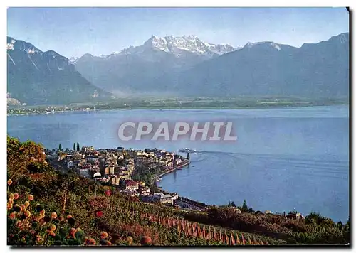 Cartes postales moderne Montreux et Dents Du Midi