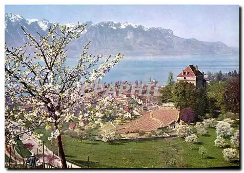 Cartes postales moderne Montreux Chateau de Chatelard et les Alpes de Savoie en Avril