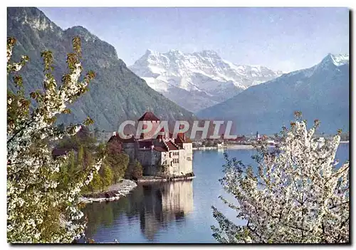 Moderne Karte Chateau de Chillon et dents du midi en avril