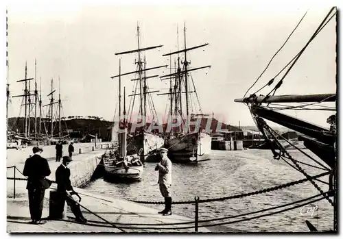 Cartes postales moderne Paimpol Le Vieux Bassin Bateaux