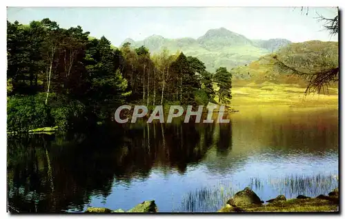 Moderne Karte Blea Tarn and Langdale Pikes