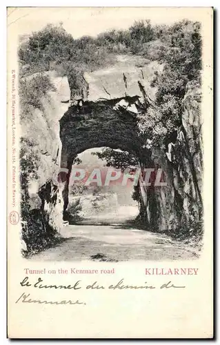 Ansichtskarte AK Killarney Tunnel on the Kenmare Road