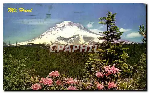 Cartes postales moderne Mt Hood and Rhododendrons