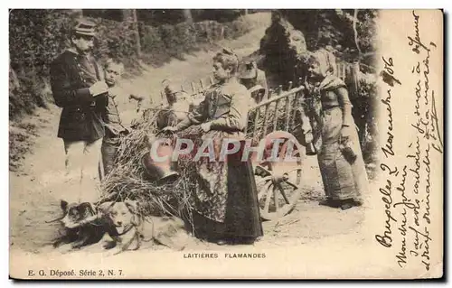 Cartes postales Laitieres Flamandes Voiture a chiens TOP