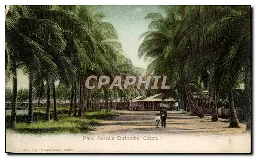 Cartes postales Palm Avenue Christobal Colon Sri lanka