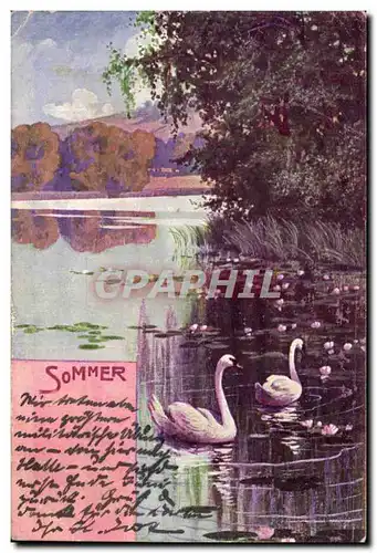 Cartes postales Sommer Cygnes