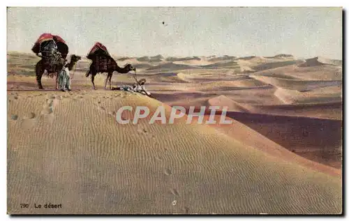 Ansichtskarte AK Le Desert Chameaux