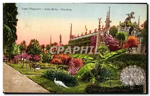 Cartes postales Maggiore Isola Bella Giardino