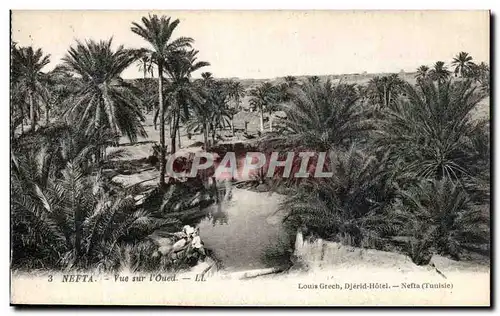 Ansichtskarte AK Nefta Vue sur l Oued Tunisie