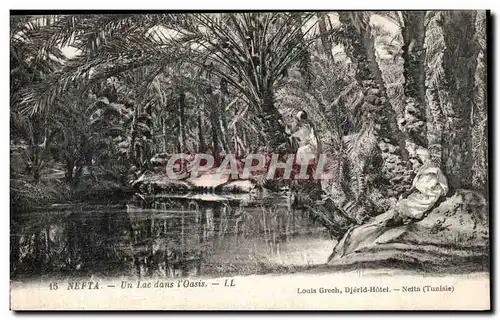 Cartes postales Nefta un lac dans l oasis Tunisie