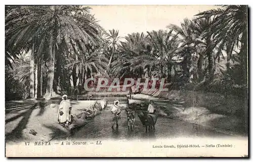 Cartes postales Nefta A La Source Tunisie