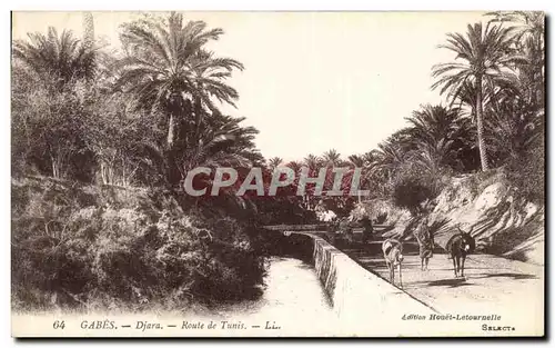 Cartes postales Gabes Djara Route de Tunis Tunisie