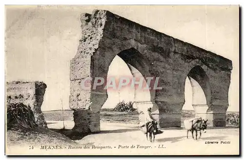 Ansichtskarte AK Meknes Ruines des Remparts Porte de Tanger