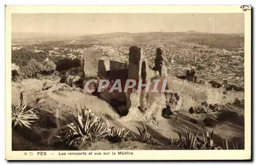 Cartes postales Fez Les Remparts et vue Sur la Medina