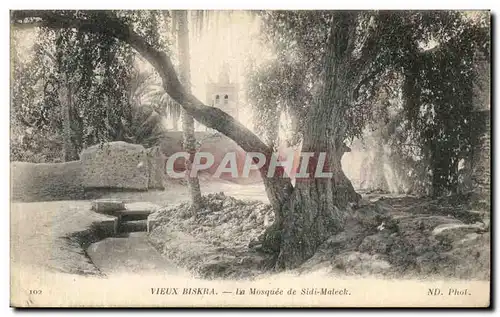 Ansichtskarte AK Vieux Biskra La Mosque de sidii Maleck