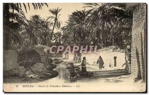 Cartes postales Biskra Oasis de Palmiers Dattiers