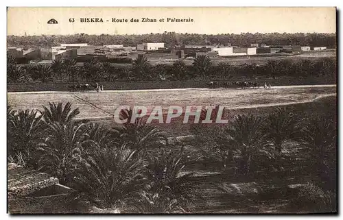 Cartes postales Biskra Route des ziban et Palmeraie